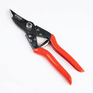 Bypass Secateur